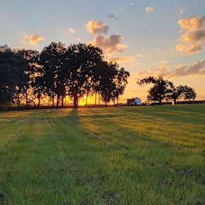 The Farmstead - Ocala, FL