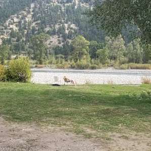 RV Campsite On Yellowstone River