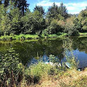 Molalla Ripple