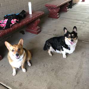 Kids all clean after an exhausting and fun day.