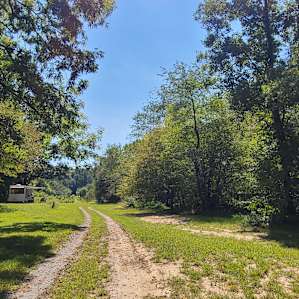 RV, Tent, Trailer Camping by River