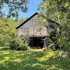 Farm and Forest Charm (Near City)