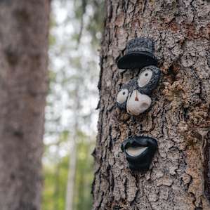 Faces hidden in the trees around the campground
