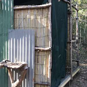 Dunny and shower area.