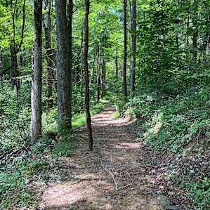 Nature walk