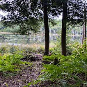 Otters and Eagles Cabin