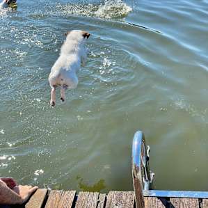 The lake was perfect for a quick swim to cool off.