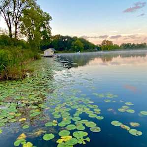 Gorgeous view of the lake from their pier in the morning.