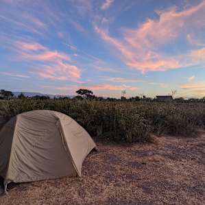Summerset Farm Camp