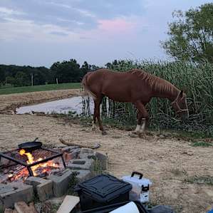 Dragonfly Ranch camping with horses