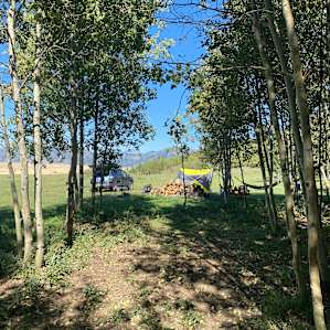 Aspen Hills Campsite #2