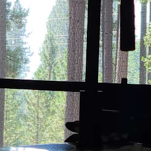 View of the trees through the door.