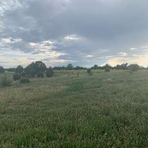 Views on the walk to the river.