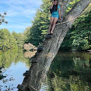 Rope swing tree