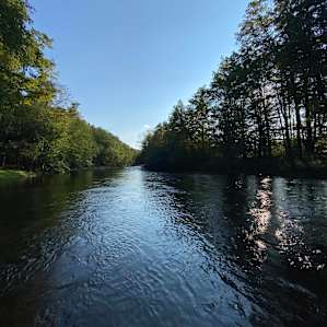 Neversink Sanctuary