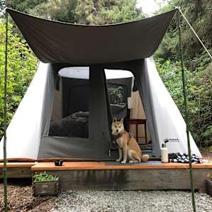 Azalea Glamp