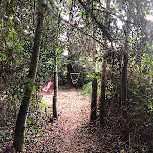 Azalea Glamp