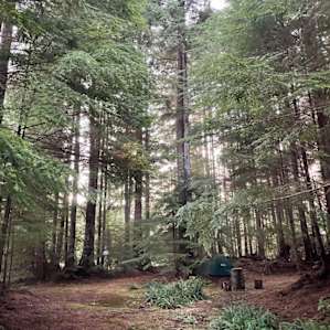 West End Camp coastal+forest+field