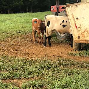 Cate Farm