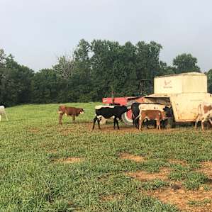 Cate Farm