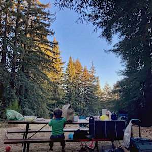 Enchanted Forest Retreat Group Site