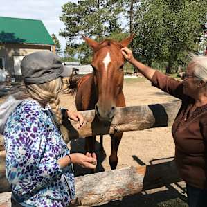we enjoyed meeting Joy, learning her story, and about her special horses