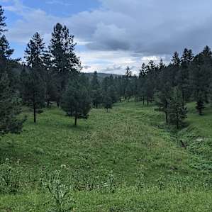 Edge of the Rez