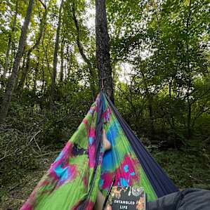 Primitive wooded campsite