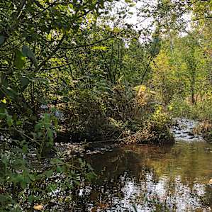 Off the Beaten Path