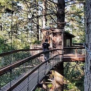 Eagles Nest