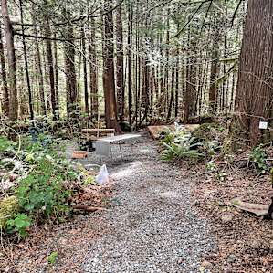 Sol duc Rainforest camping site 1b