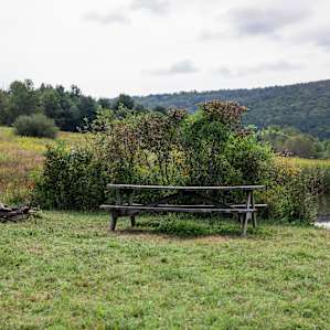 having a picnic table was a huge bonus!