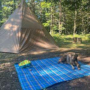 Magic Forest Farm Camp
