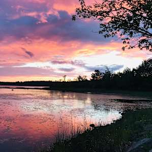 Tranquility on the Bay (40 yrs +)