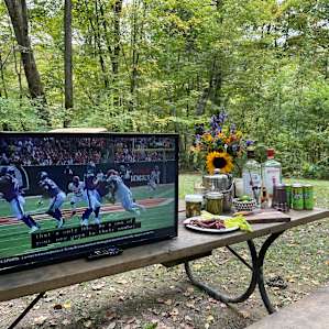 A generator and a hotspot for the first Vikings game of the season. They lost.