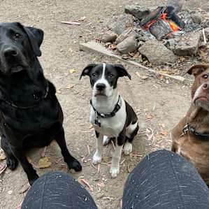 Happy campers