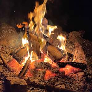 Campfires with nature’s soundtrack. Frogs crickets and owls.