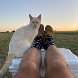 Friendly barn cat stopped by to say hi