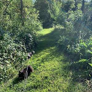 Tall-Grass Prairie and River Stay