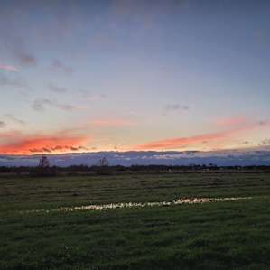 Farm, With Everything. All Welcome.