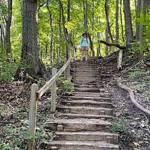 Hiking Warren Dunes. The trails are so diverse!