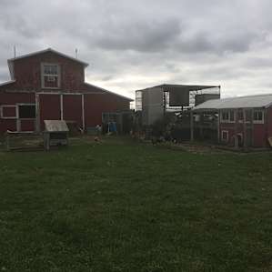 Uncle B's RV Camper Site's