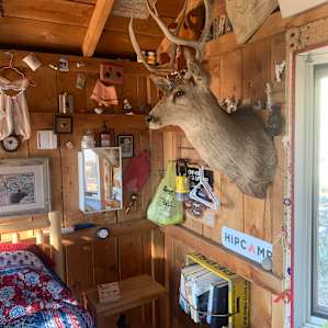 Little Cabin with a view