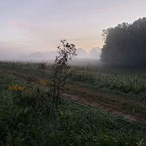 Sweet Grass a Regenerative Farm