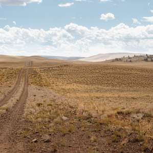 These are the roads you will be taking to Horse Park
