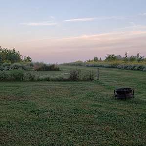 Grins & Pickin's CampFarm - tents