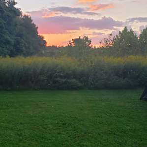 Grins & Pickin's CampFarm - tents