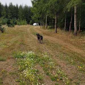 Can you see that camper back there? Lot's of privacy!!!