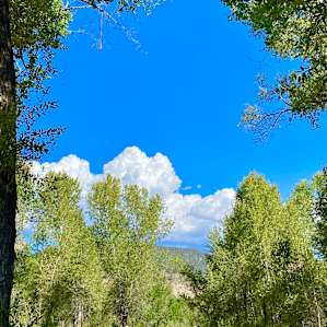 Grove Yurt