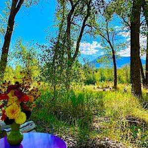 Grove Yurt